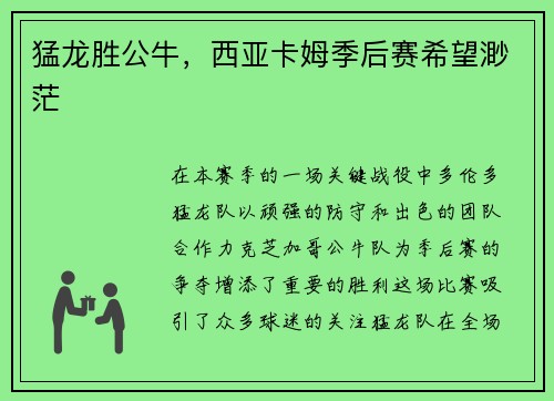 猛龙胜公牛，西亚卡姆季后赛希望渺茫